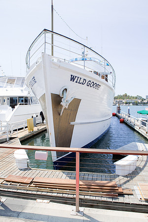 Wild Goose -44