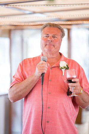 Wild Goose -465