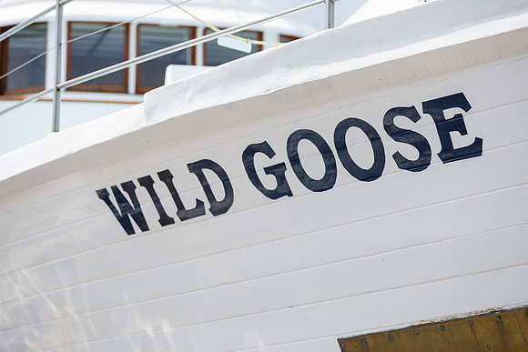 Wild Goose -43
