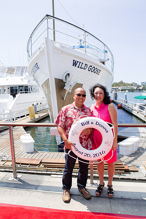 Wild Goose -37