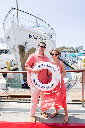 Wild Goose -21