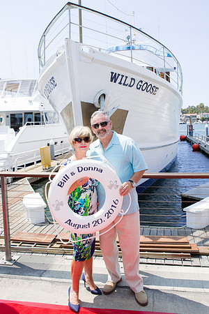 Wild Goose -9