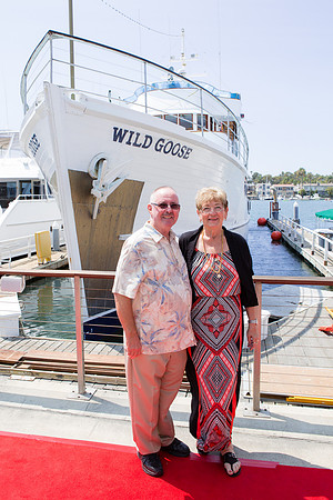 Wild Goose -3