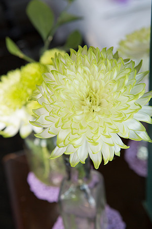 David England Photography-57