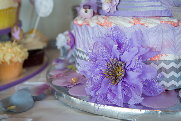 David England Photography-27
