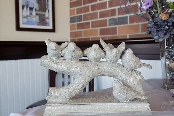 David England Photography-37