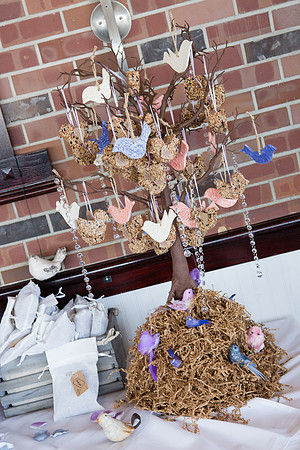 David England Photography-40
