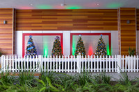 Pike Outlets - Christmas Trees