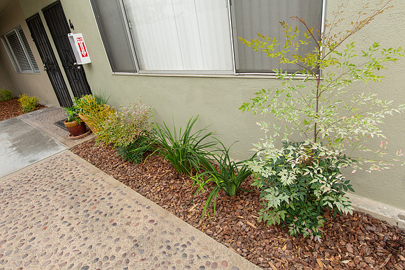 1106 Pacific Ave-33