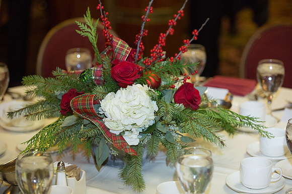 Queens Salon Queen Mary-115