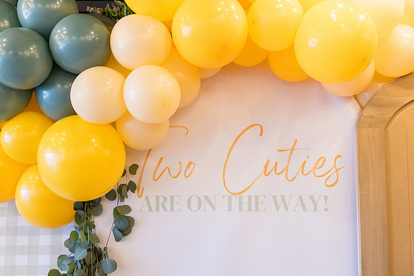 Two Sweet Ethridge Twins - Aria Event Space Cypress Ca-005