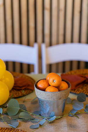 Two Sweet Ethridge Twins - Aria Event Space Cypress Ca-004