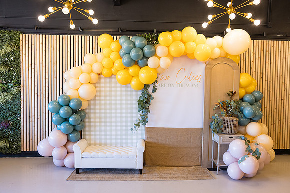 Two Sweet Ethridge Twins - Aria Event Space Cypress Ca-008