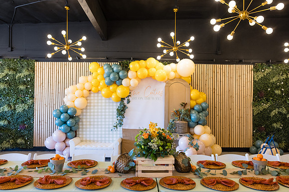 Two Sweet Ethridge Twins - Aria Event Space Cypress Ca-009