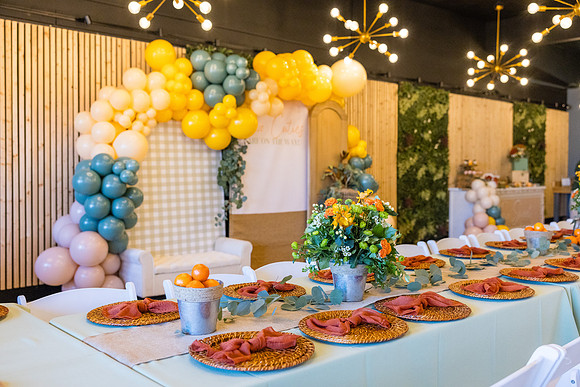 Two Sweet Ethridge Twins - Aria Event Space Cypress Ca-059