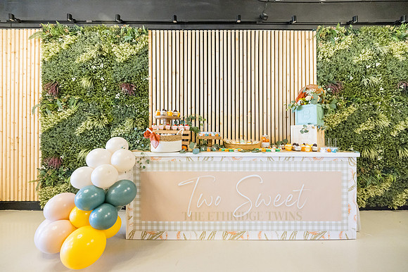 Two Sweet Ethridge Twins - Aria Event Space Cypress Ca-064
