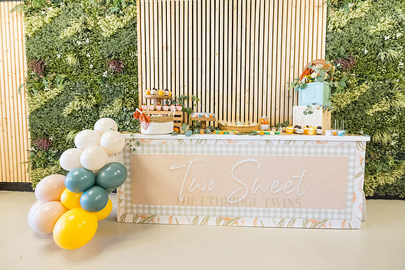 Two Sweet Ethridge Twins - Aria Event Space Cypress Ca-065