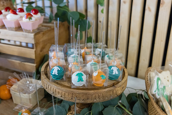 Two Sweet Ethridge Twins - Aria Event Space Cypress Ca-067
