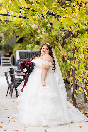 Wedding Photos Del Valle Winery Livermore Ca-119