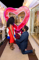 Engagement Photos Anaheim White House - David England Photography-007