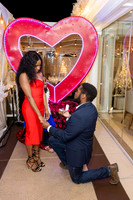 Engagement Photos Anaheim White House - David England Photography-010