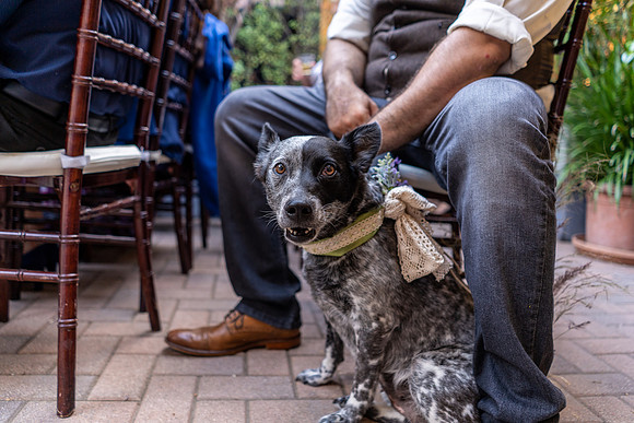 Laguna Beach Wedding Photographer 777 Venue-262