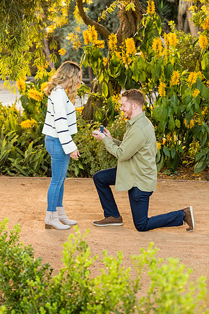 Engagement Photos South Coast Botanical Gardens-37