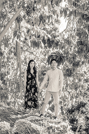 Engagement Photos South Coast Botanical Gardens-011