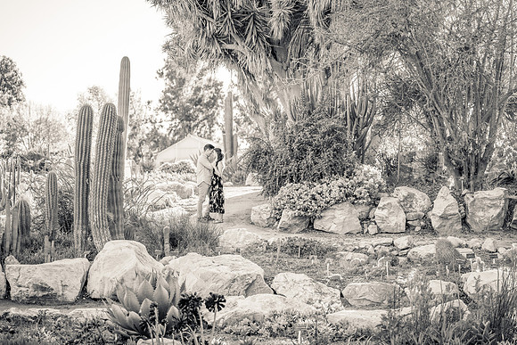 Engagement Photos South Coast Botanical Gardens-085