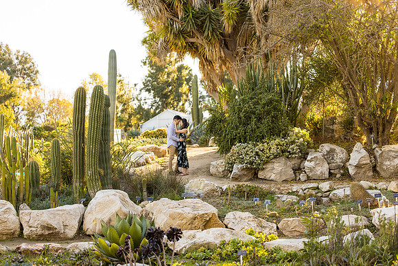 Engagement Photos South Coast Botanical Gardens-087