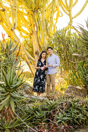 Engagement Photos South Coast Botanical Gardens-100