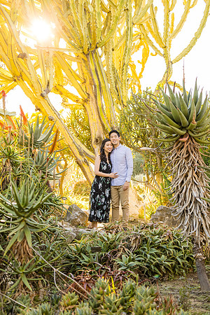 Engagement Photos South Coast Botanical Gardens-101