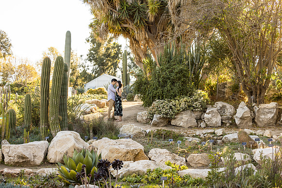 Engagement Photos South Coast Botanical Gardens-084