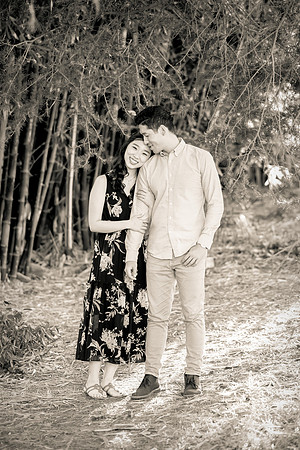 Engagement Photos South Coast Botanical Gardens-122