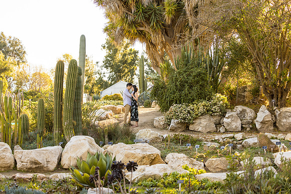 Engagement Photos South Coast Botanical Gardens-086