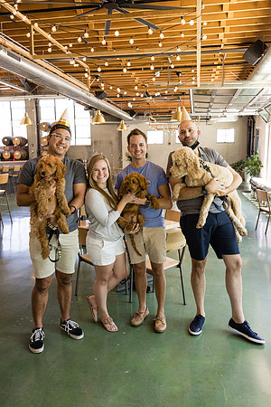 Pet Photographer Long Beach  - Trademark Brewing -139