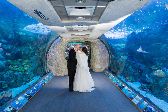 Acquarium of the Pacific Wedding-13