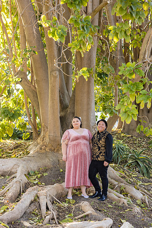 Engagement Photos South Coast Botanical Garden in Palos Verdes-055