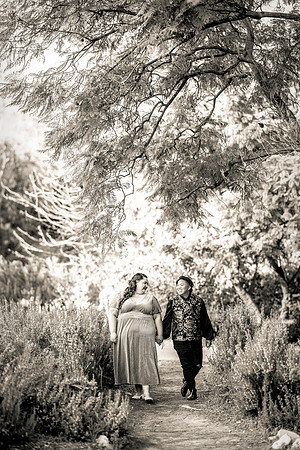 Engagement Photos South Coast Botanical Garden in Palos Verdes-105