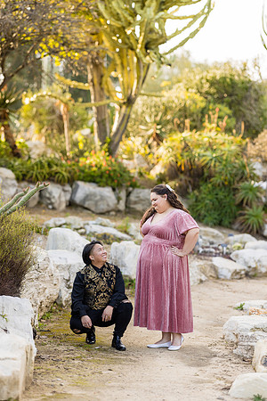 Engagement Photos South Coast Botanical Garden in Palos Verdes-129