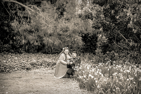 Engagement Photos South Coast Botanical Garden in Palos Verdes-162