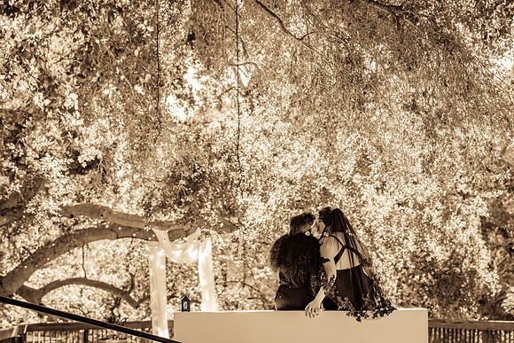 The 1909 Venue Wedding Photos-142