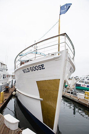 Wild Goose Wedding-9