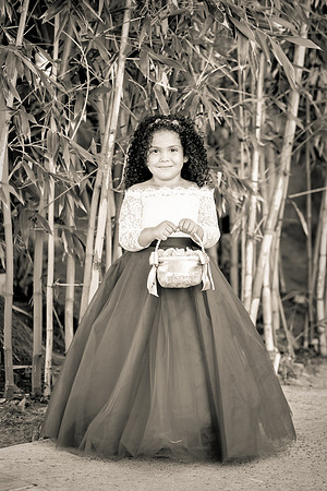Wedding Photos Hotel Maya-647
