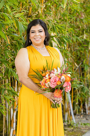 Wedding Photos Hotel Maya-617