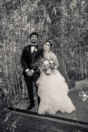 Wedding Photos Hotel Maya-536