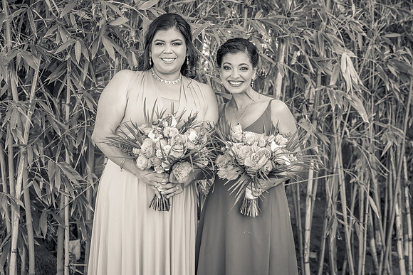 Wedding Photos Hotel Maya-627