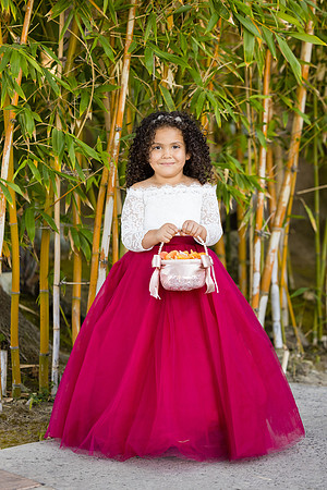 Wedding Photos Hotel Maya-646