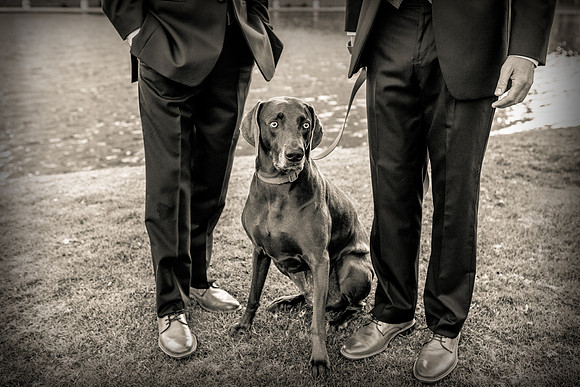 Renaissance Hotel Wedding Long Beach-221