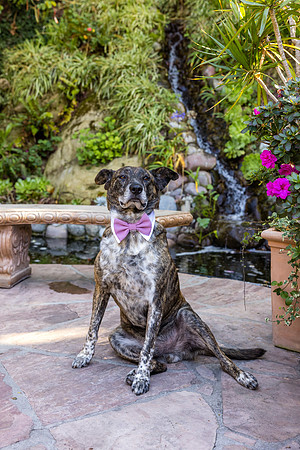 Wedding Venues Oc  - 777 Laguna Beach-130